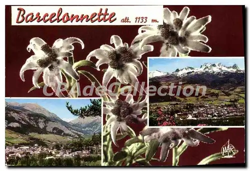 Cartes postales Barcelocannette Alpes de Haute Provence