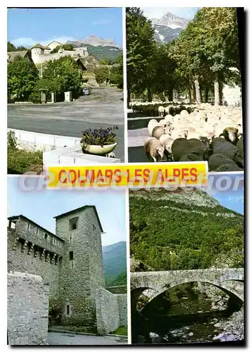 Cartes postales Alpes de Haute Provence Haute Vallee du Verdon Souvenir de Colmars les Alpes