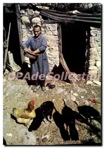 Cartes postales Le Plateau des Gras Image de la vie rurale en Ardeche