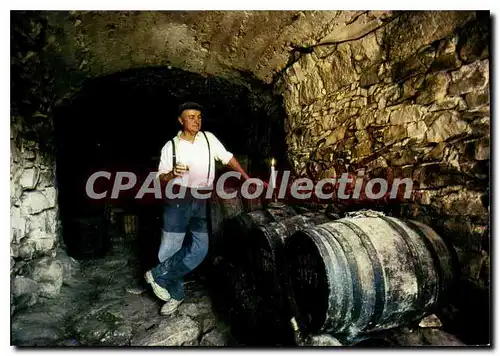 Cartes postales Le Plateau des Gras Production de vins de qualite