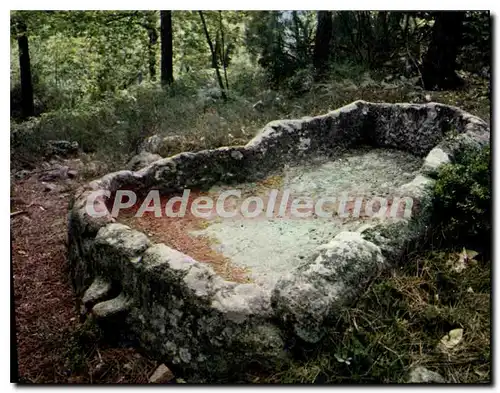 Cartes postales Ardeche Pittoresque Vinezac La cuve