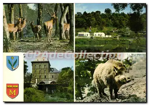 Cartes postales Charleville Mezieres Ardennes