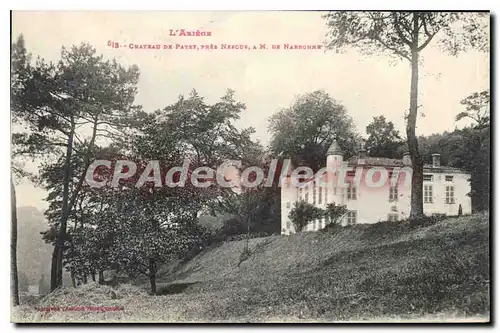 Cartes postales L'Ariege Chateau de Payet pres Nescus