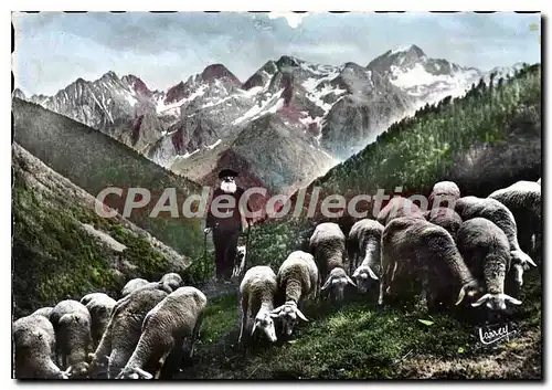 Ansichtskarte AK Paturage dans les Pyrenees Le vieux burger Troupeau de moutons