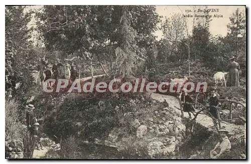 Cartes postales Ste Sauvine Jardin Botanique Alpin