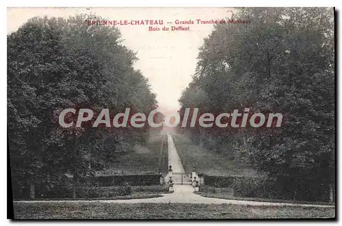Cartes postales Brienne le Chateau Grande Tranche de Maihaux Bois du Deffaut