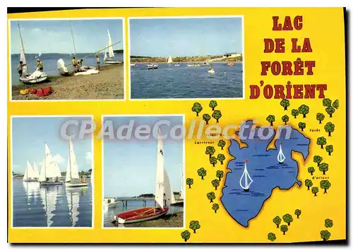 Cartes postales Troyes Aube Le Lac de la Foret d'Orient
