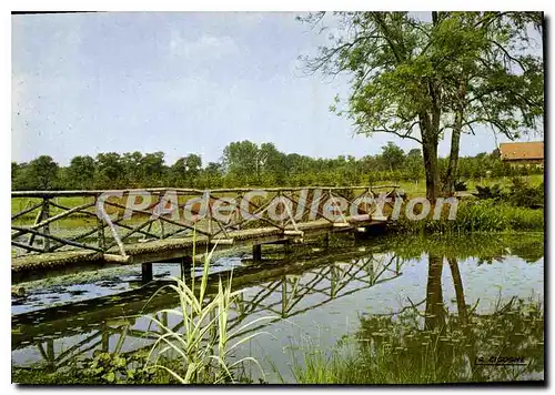 Cartes postales Ervy le Chatel Aube L'Etang