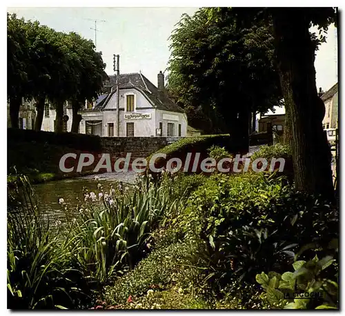 Cartes postales Trainel Aube Les Bords de l'Orvin