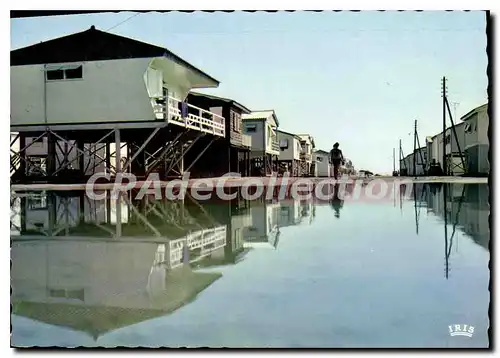 Cartes postales L'Aude Touristique Gruissan Plage Les maisons sur pilotis