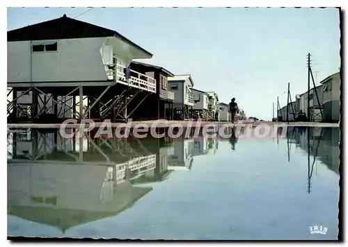 Cartes postales L'Aude Touristique Gruissan Plage Les maisons sur pilotis