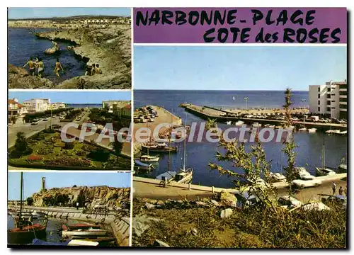 Cartes postales Narbonne Plage Aude La Cote des Roses
