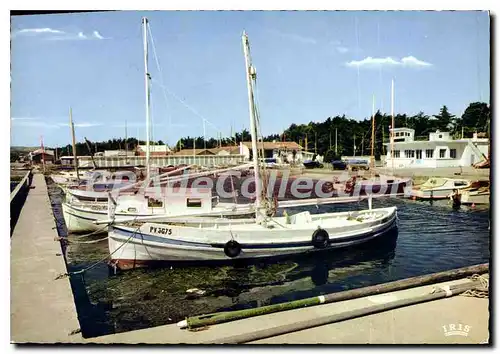 Cartes postales Port la Nautique Aude Aux environs de Narbonne bateaux de plaisance