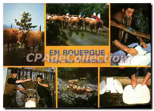 Cartes postales En Rouergue La Transhumance