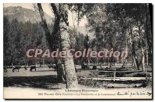 Ansichtskarte AK L'Auvergne Pittoresque Vic sur Cere Cantal La Passerelle et le Communal