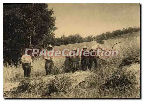 Ansichtskarte AK En Auvergne La Moisson