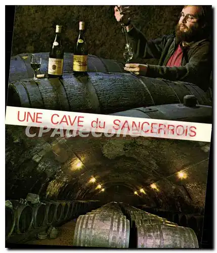 Cartes postales moderne MENETREOL cave de l'�tang vun tonneaux