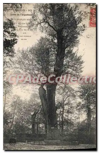 Ansichtskarte AK DIJON jardin de l'Arquebuse Peulier noir 500 ans