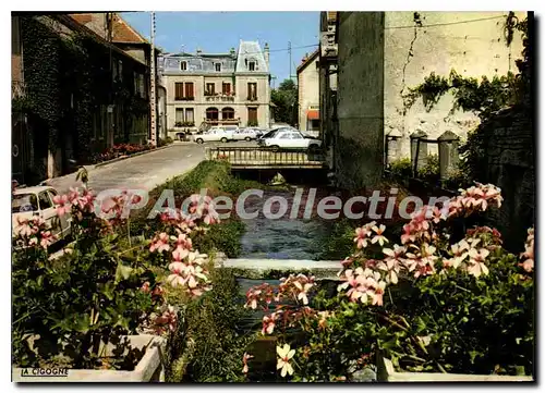 Cartes postales moderne IS-sur-TILLE rives fleuries