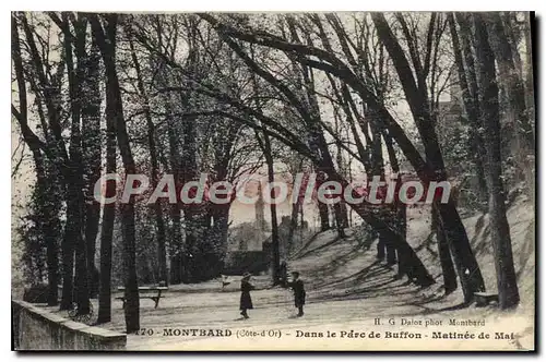 Cartes postales MONTBARD parc de Buffon