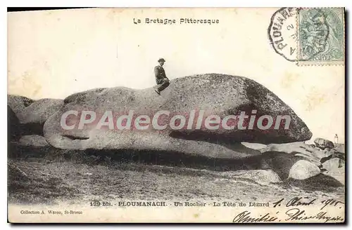 Cartes postales PLOUMANACH t�te de l�zard