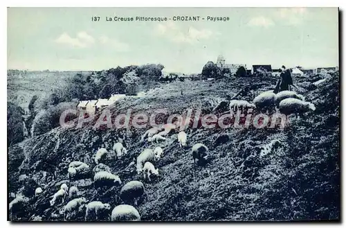 Cartes postales CROZANT paysage moutons