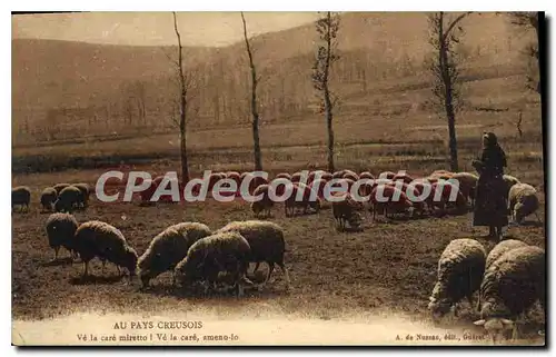 Cartes postales au pays Creusois moutons