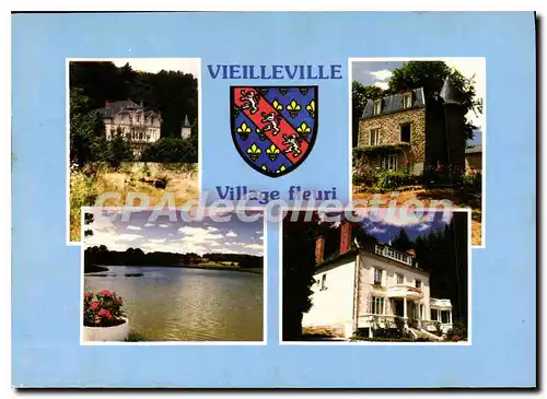 Cartes postales moderne VIEILLEVILLE ch�teau de Camp Castel-de-Lorgrand villa des saules