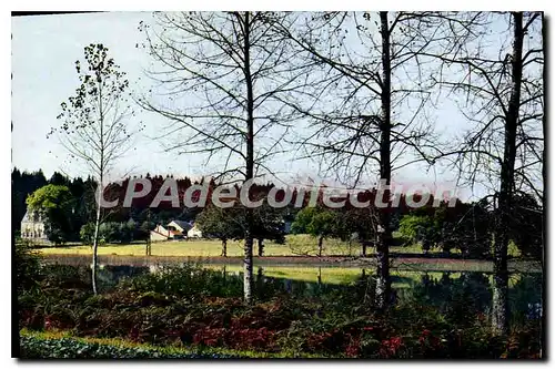 Cartes postales moderne SAINT-GEORGES-LA-POUGE �tang