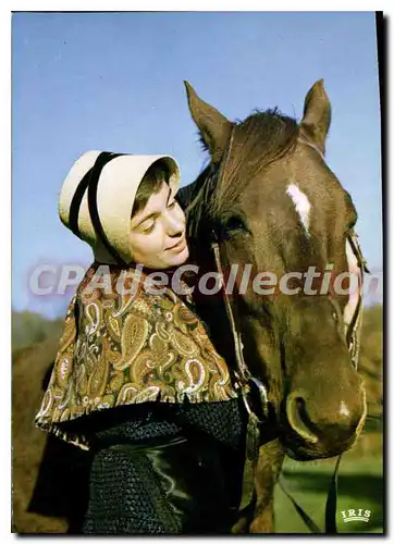 Cartes postales moderne folklore Marchois Marchoise et son cheval