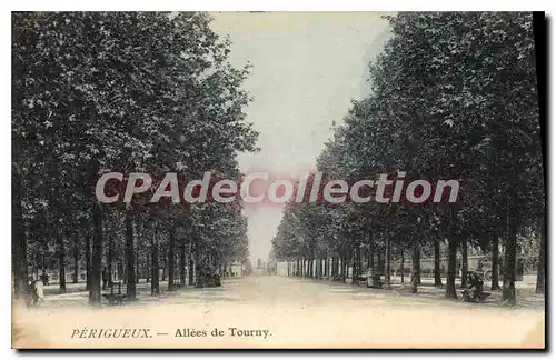 Cartes postales PERIGUEUX all�es de Tourny