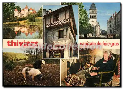 Cartes postales moderne THIVIERS �glise chercheur de truffes cochon ch�teau de Filolie casseuse de noix