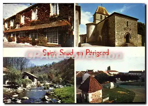 Cartes postales moderne Saint Saud En Perigord