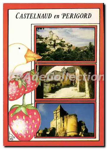 Cartes postales moderne Castelnaud Le Chateau Vieille Demeure Perigourdine