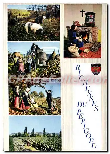 Cartes postales moderne Quelques Richesses Du Perigord