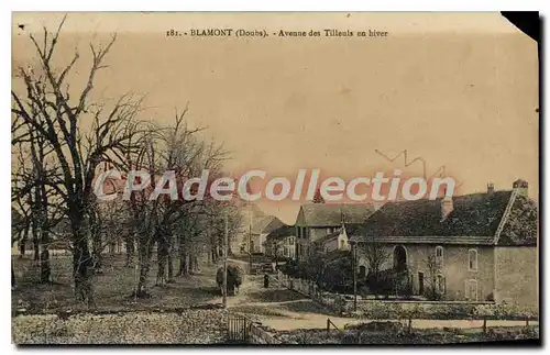 Cartes postales Blamont Avenue Des Tilleuls En Hiver