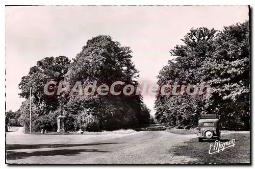 Ansichtskarte AK Chateauneuf En Thymerais Le Calvaire Et I'Entree De La Foret