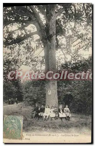 Cartes postales Foret De Chateauneuf Le Chene St Jean