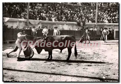 Cartes postales moderne Nimes Course De Taureaux Aux Arenes mise � mort