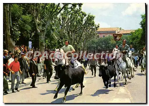 Cartes postales moderne Nimes Abrivado Sur Les Boulevards