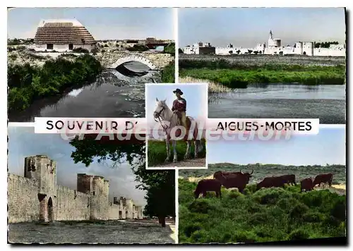 Cartes postales moderne Souvenir D'Aigues Mortes