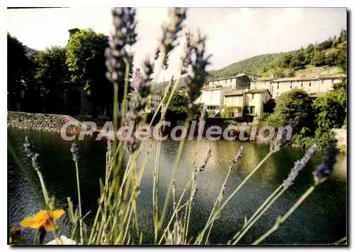 Cartes postales moderne Valleraugue Ambiance Fleurie