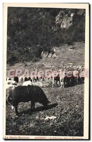 Ansichtskarte AK La Haute Garonne Luchon Le paturage dans la Montagne