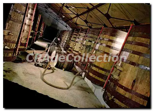 Cartes postales moderne Gascogne Pittoresque Pays De L'Armagnac Un Interieur de Chais