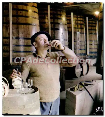 Cartes postales moderne Gascogne Pittoresque Pays De L'Armagnac son Bouquel rechauff� dans la Main annonce le Plaisir d