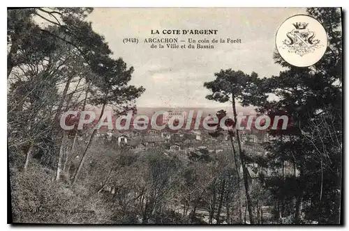 Cartes postales Arcachon La Cote D'Argent Un coin de la Foret de la Ville et du Bassin