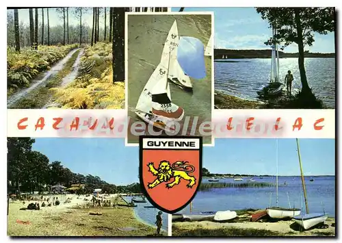 Cartes postales moderne Cote Aquitaine Cazaux Gironde