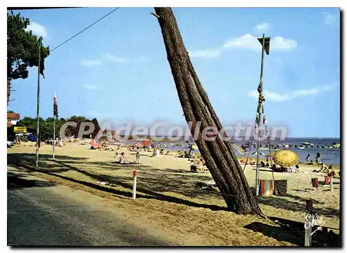 Cartes postales moderne Cazaux La Plage