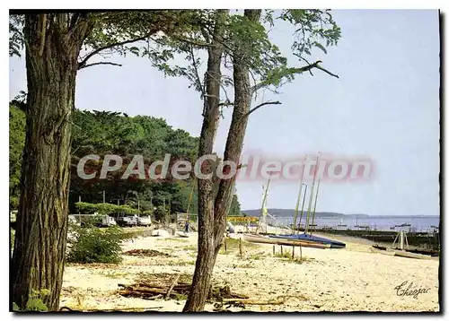 Cartes postales moderne Bassin D'Arcachon L'Herbe La Plage