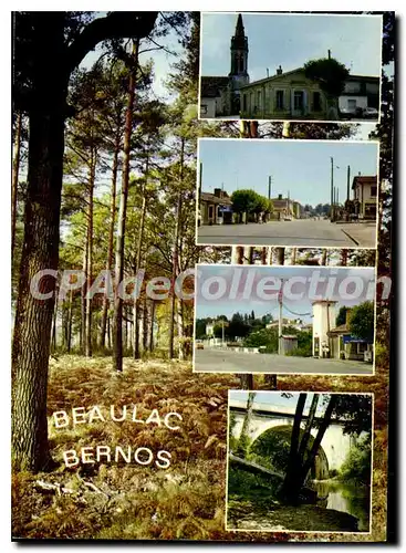 Cartes postales moderne Beaulac Bernos Divers Aspects